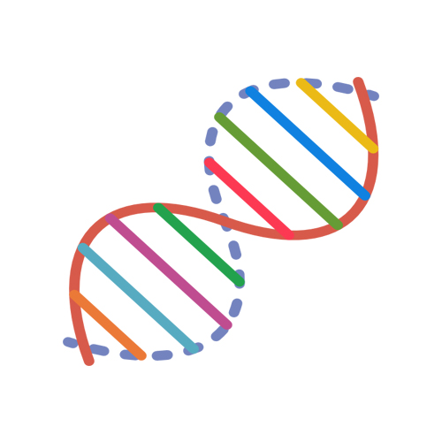 DNA